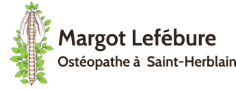 Logo Margot Lefebure ostéopathe